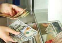 Këmbimi valutor 19 nëntor/Me sa blihen e shiten dollari dhe euro, çfarë ndodh me monedhat e tjera