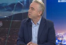 Politologu Krasniqi: PD e organizon aksionin, në varësi të thirrjeve të SPAK, deputetët shkojnë në Parlament pa patur një strategji